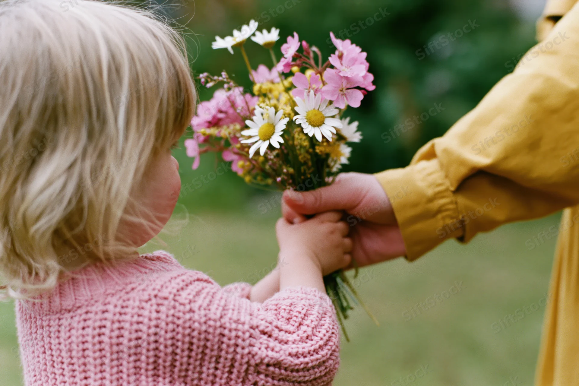 Child in pink knitted sweater handing bouquet of wildflowers to woman outdoors