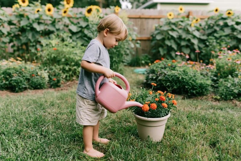 Toddler watering orange marigolds in a garden pot on a grassy lawn