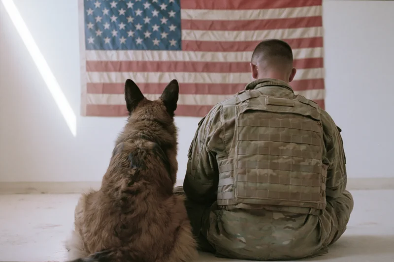 Soldier and german shepherd sitting cross-legged on floor facing american flag