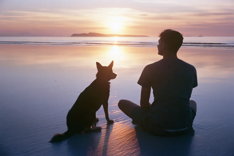 Young man sitting cross-legged on wet sand beside a dog at sunset on the beach