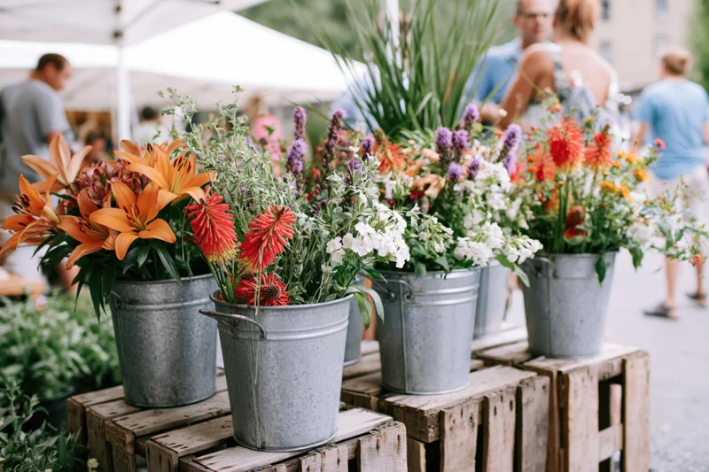 Colorful flowers in galvanized metal buckets arranged on wooden pallets at outdoor market