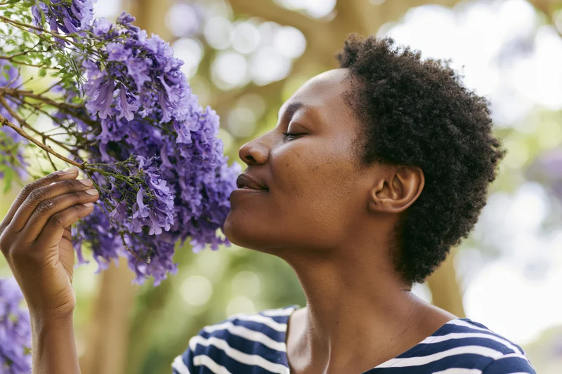 Young black woman smelling purple jacaranda flowers in a garden