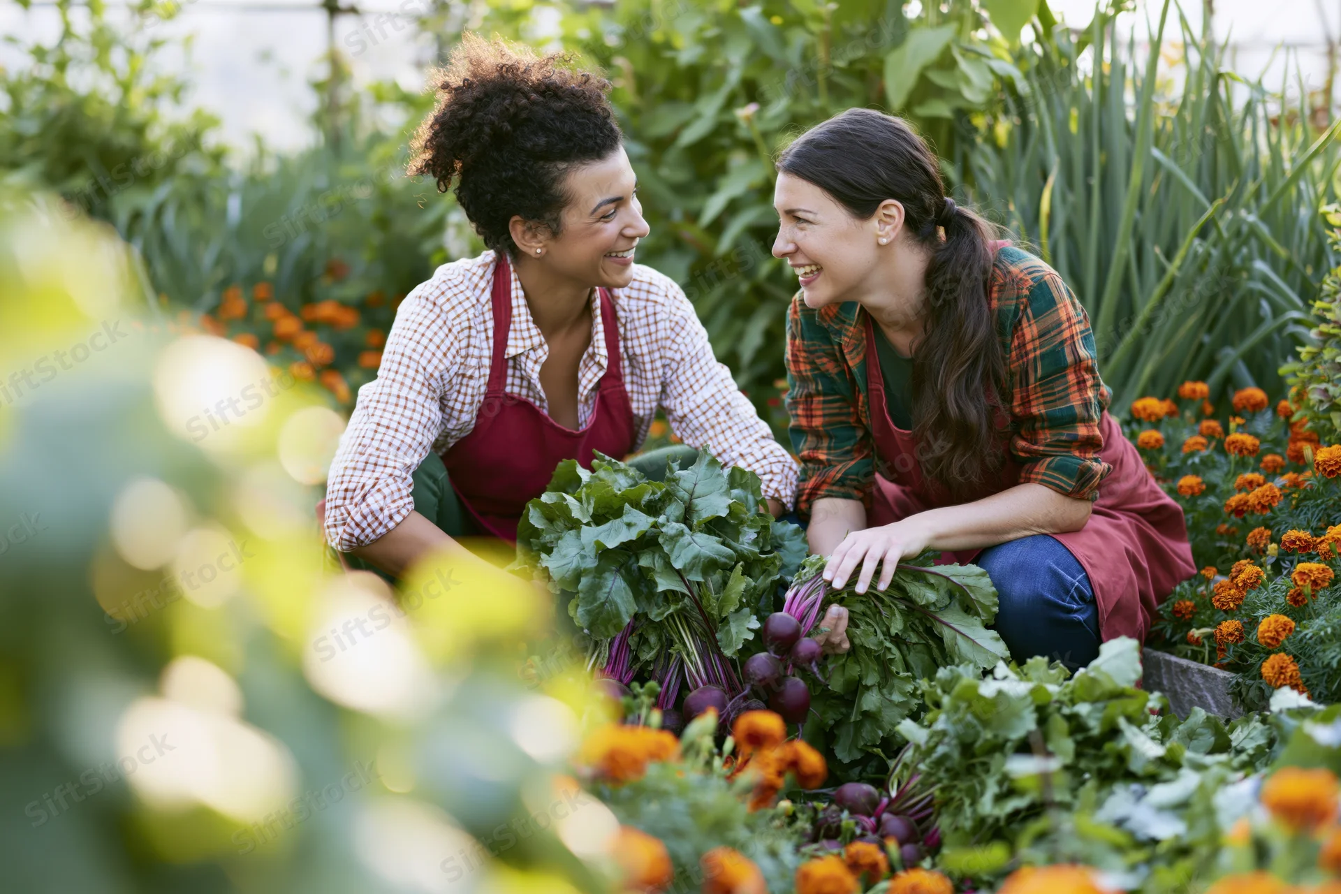 Two women crouching together in a raised-bed vegetable garden harvesting fresh vegetables and smiling at each other