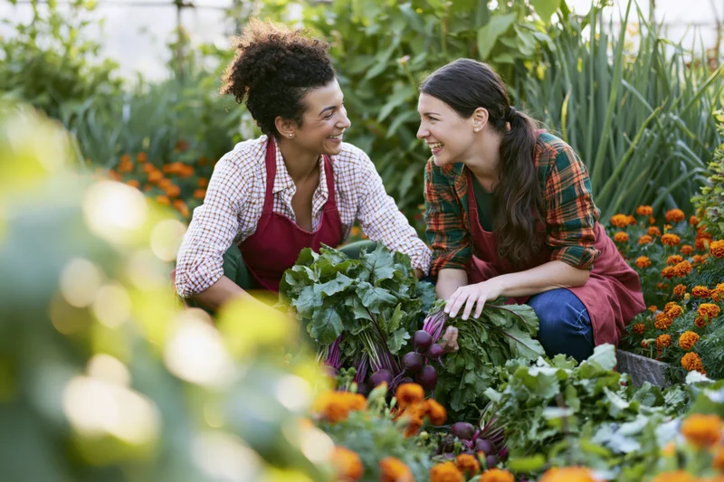 Two women crouching together in a raised-bed vegetable garden harvesting fresh vegetables and smiling at each other