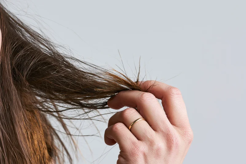 Woman holding damaged ends of her long brown hair against a plain background