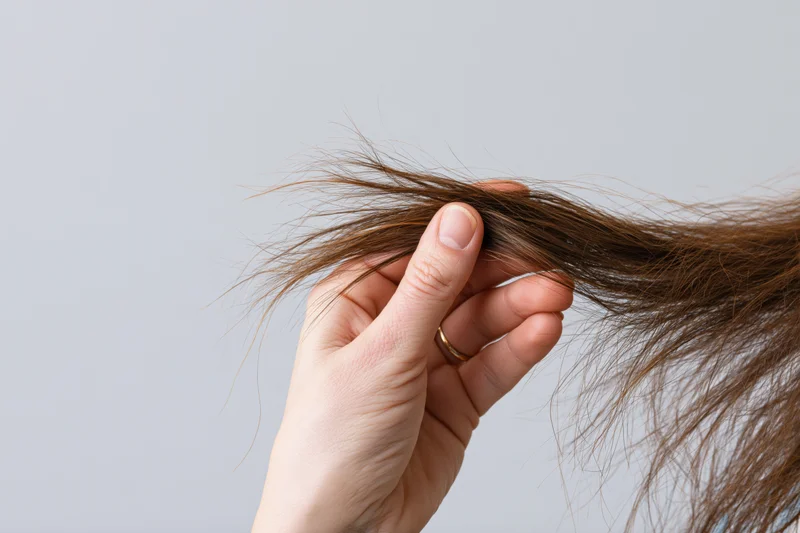 Woman holding damaged brown hair ends against light gray background
