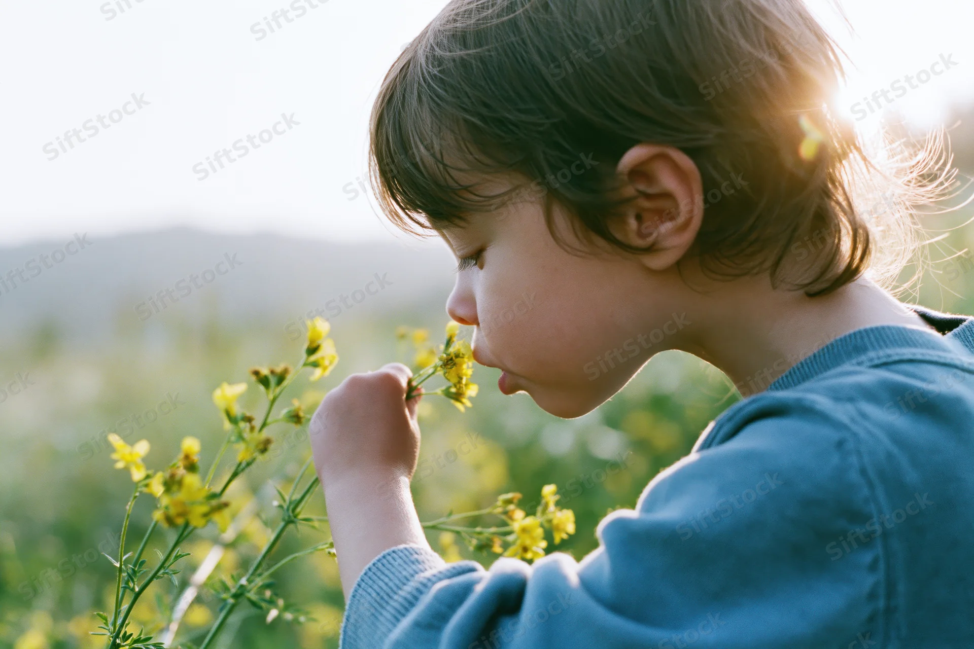 Young child in profile smelling yellow wildflowers in a sunlit field