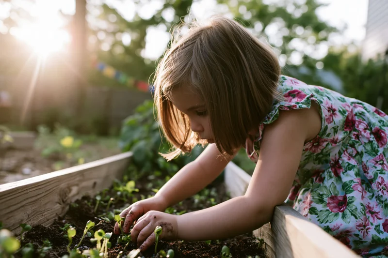 Young girl planting seedlings in a raised garden bed outdoors