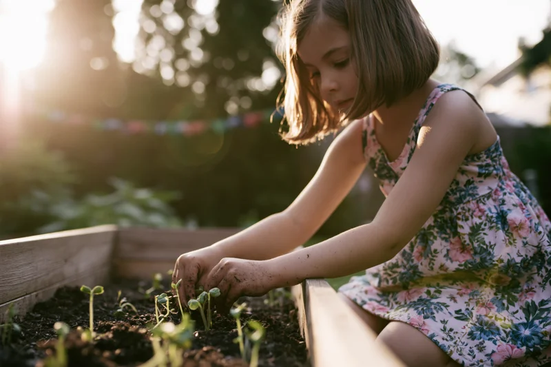 Young girl planting seedlings in a wooden raised garden bed outdoors in sunlight