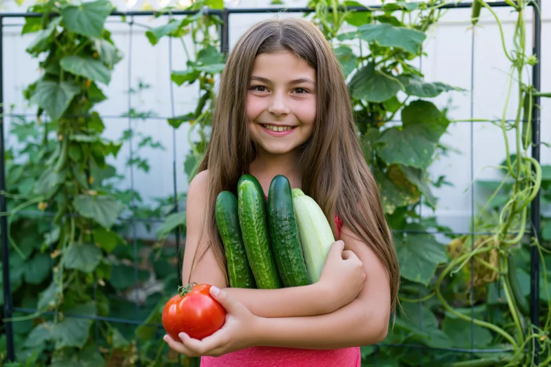 Young girl smiling while holding cucumbers and a tomato in a garden with climbing vines on a trellis