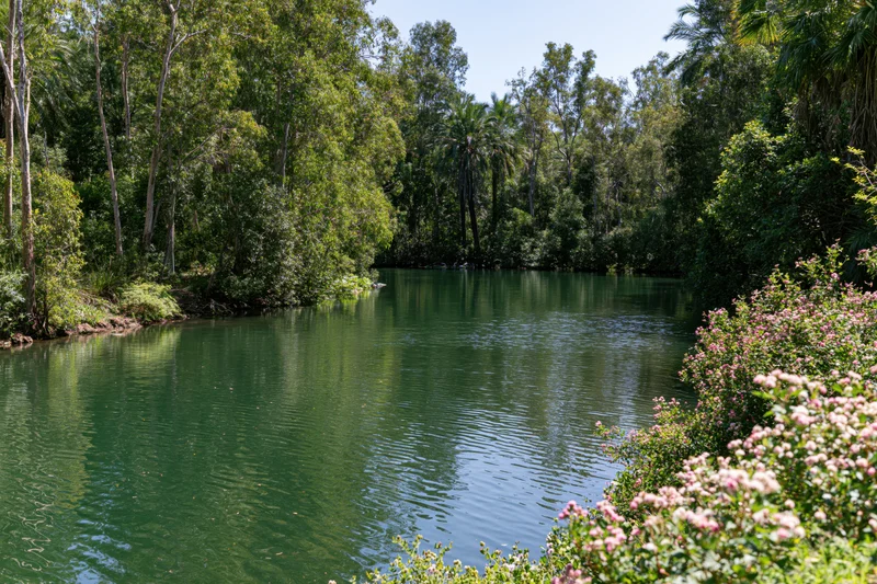 Calm river winding through dense green eucalyptus and palm trees with pink flowering shrubs along the bank