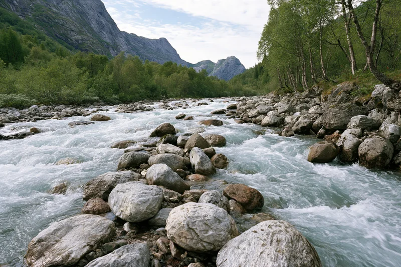 Fast-moving glacial river rushing over rounded boulders in a mountain valley surrounded by green forest
