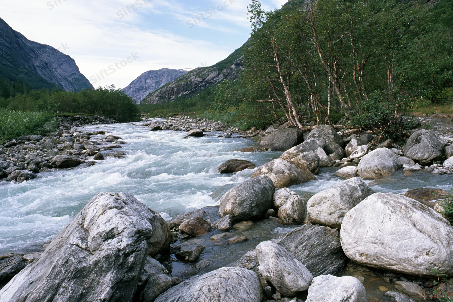 Fast-moving glacial river rushing over rounded boulders in a mountain valley with birch trees and rocky terrain