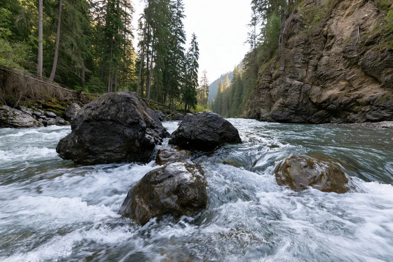 Fast-moving river flowing through rocky canyon surrounded by pine forest