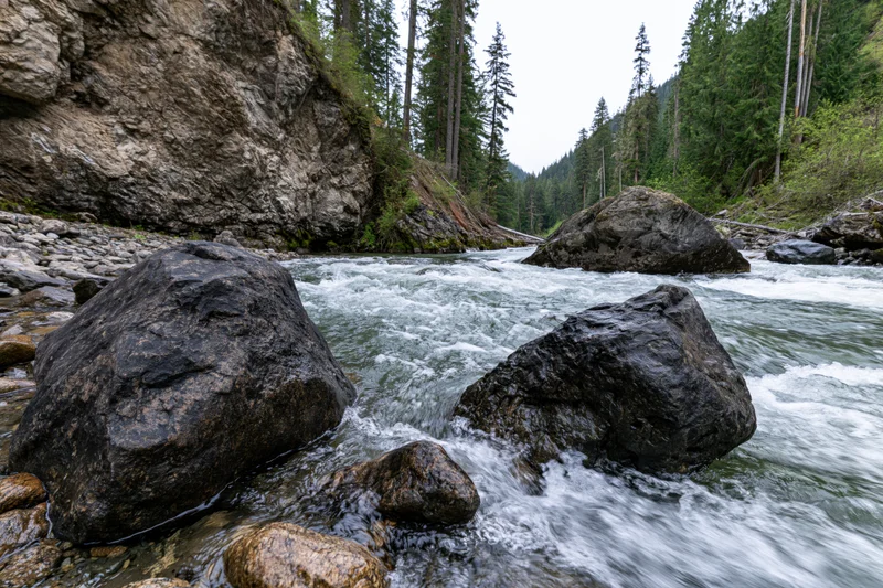 Fast-moving mountain river flowing through rocky canyon with pine trees and boulders
