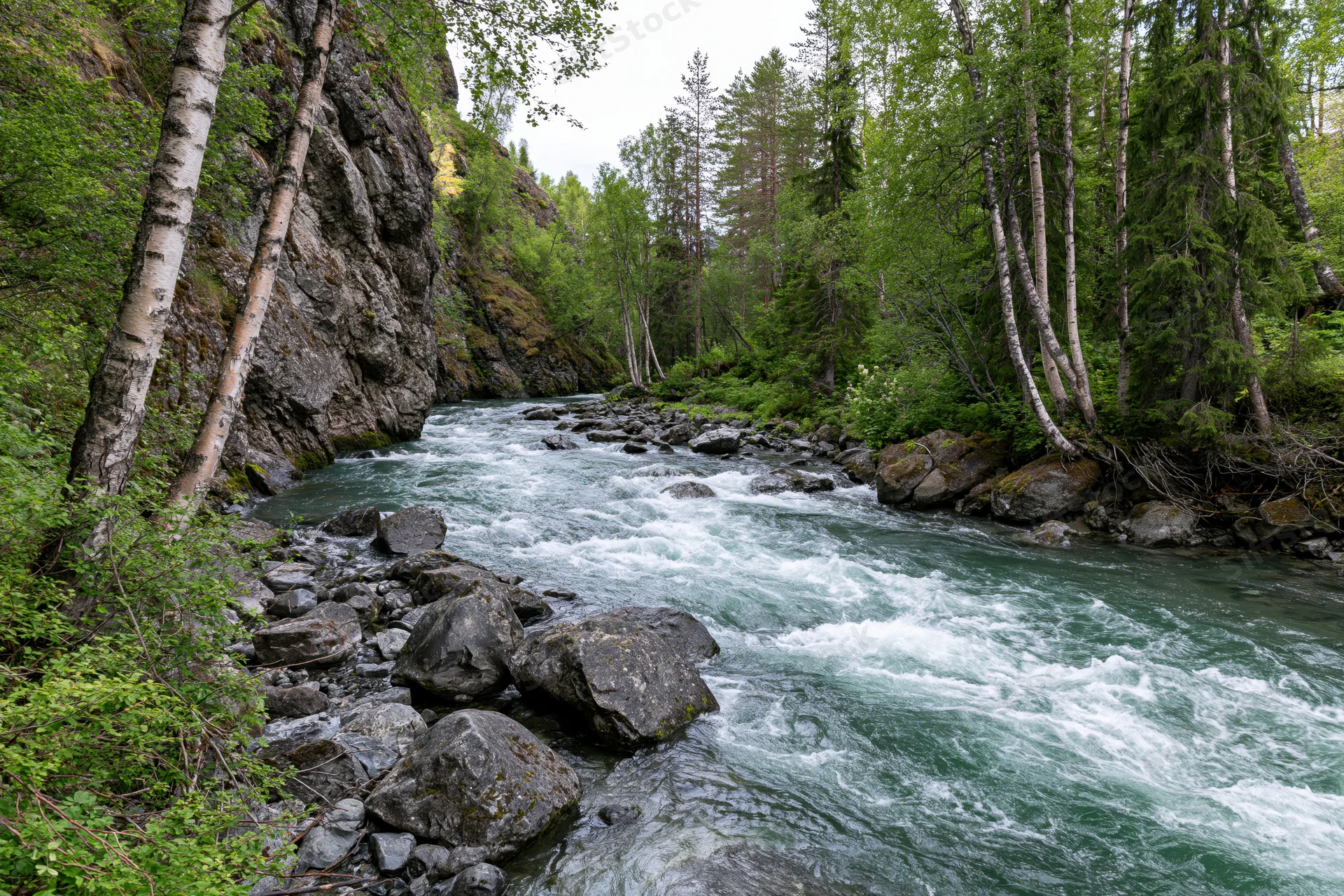 Glacial mountain river rushing over scattered boulders through forested canyon