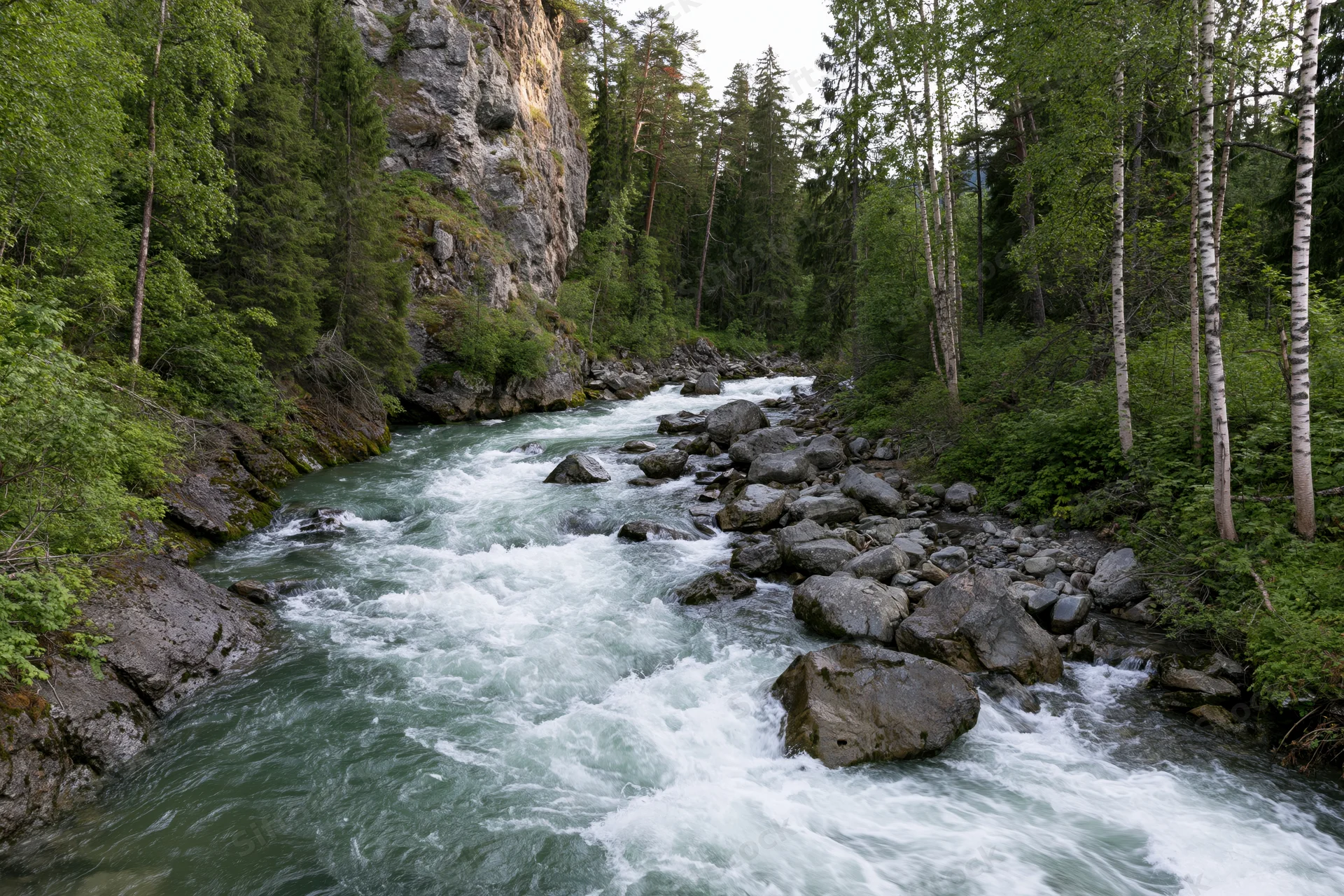 Glacial mountain river rushing over scattered boulders through forested canyon