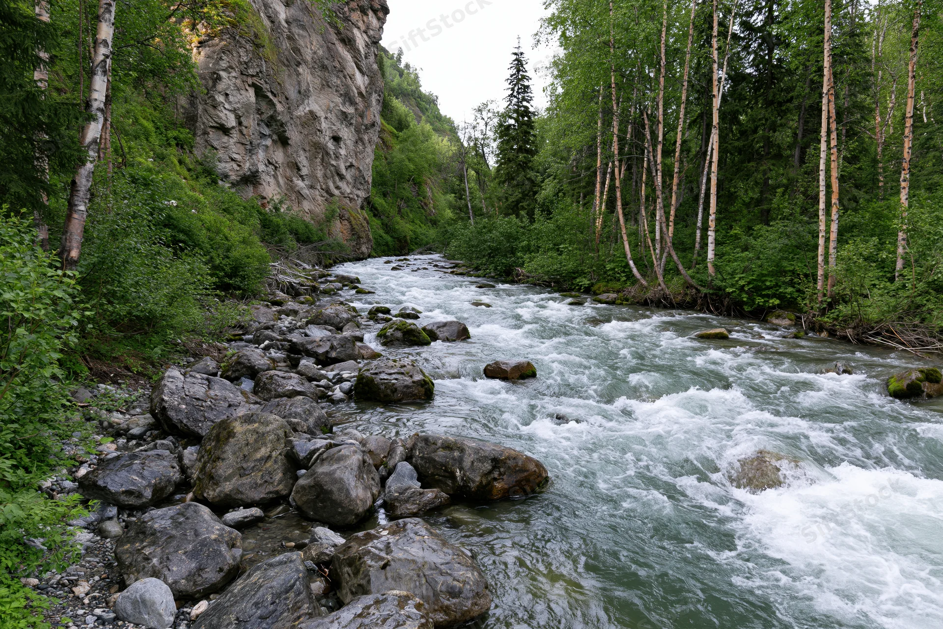 Glacial mountain river rushing over scattered boulders through forested canyon
