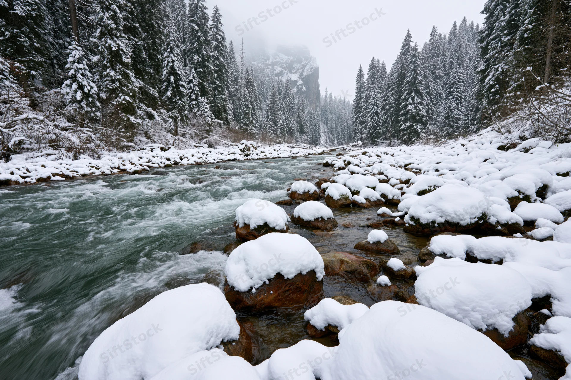 Swift mountain river flowing over snow-covered amber-brown rocks in a pine forest valley