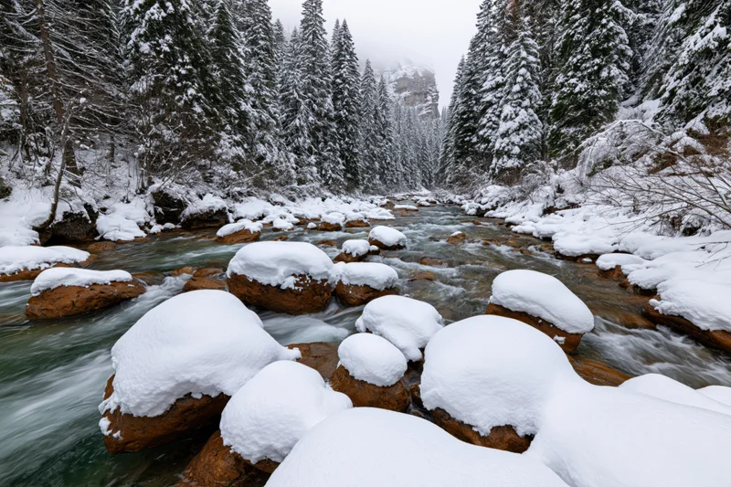 Snow-covered river flowing over amber rocks in a pine forest valley