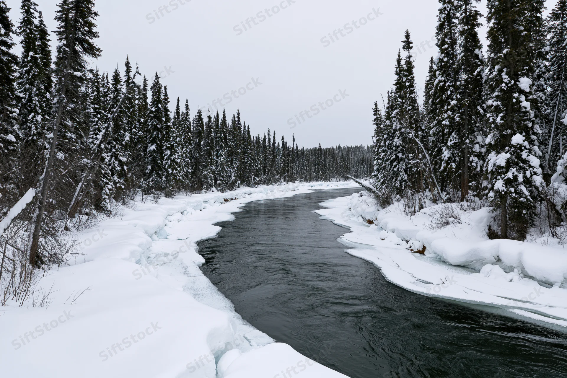 A partially frozen river winding through a dense snow-covered boreal forest