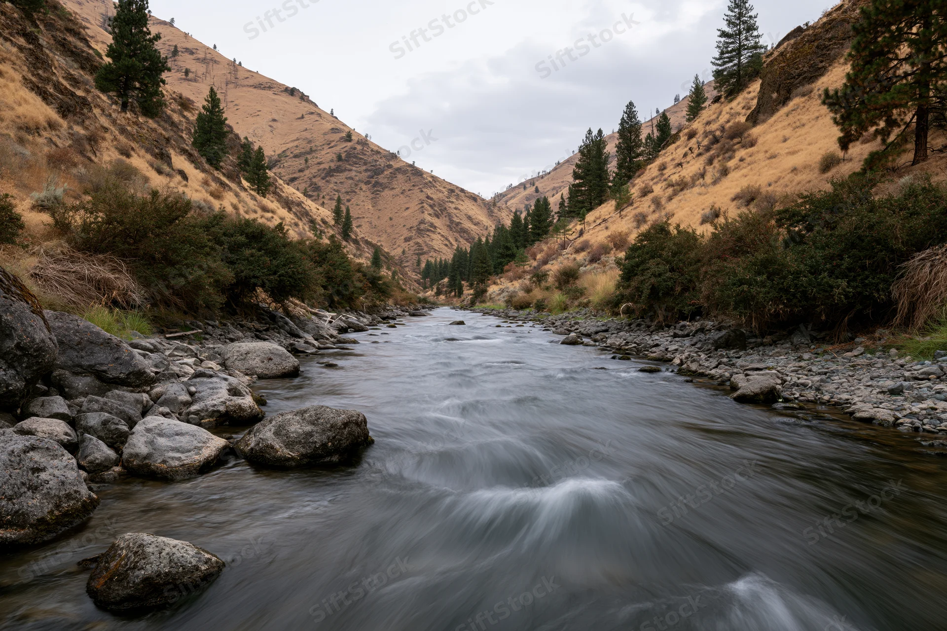 River flowing through narrow canyon with rocky streambed and pine trees on hillsides