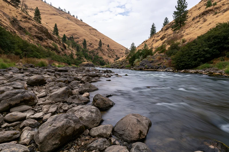 River flowing through narrow canyon with rocky streambed and pine trees on slopes