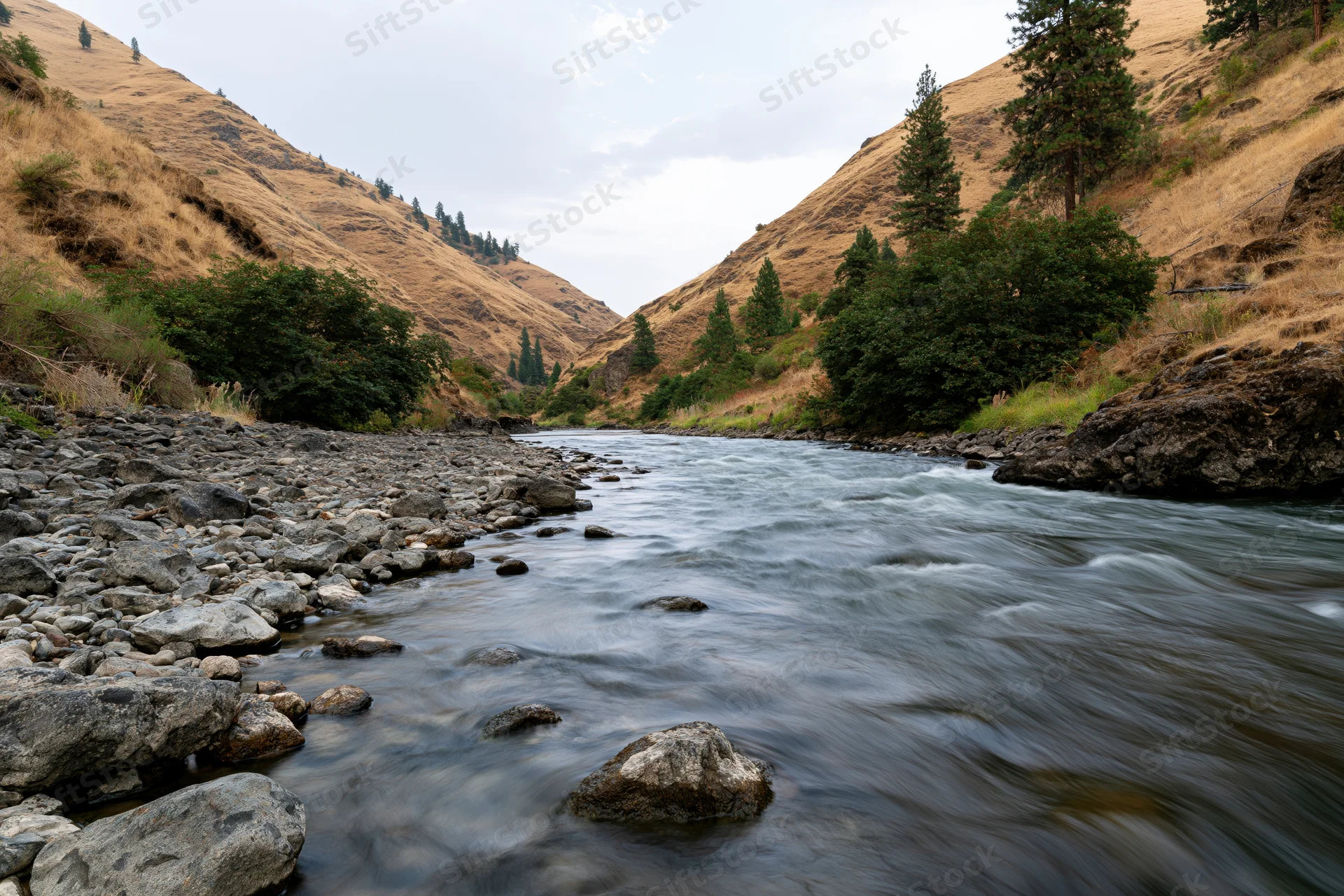 River flowing through narrow canyon with rocky streambed and forested slopes