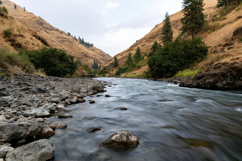 River flowing through narrow canyon with rocky streambed and forested slopes