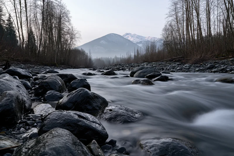 River flowing over boulders in a forested valley with snow-capped mountains in the background