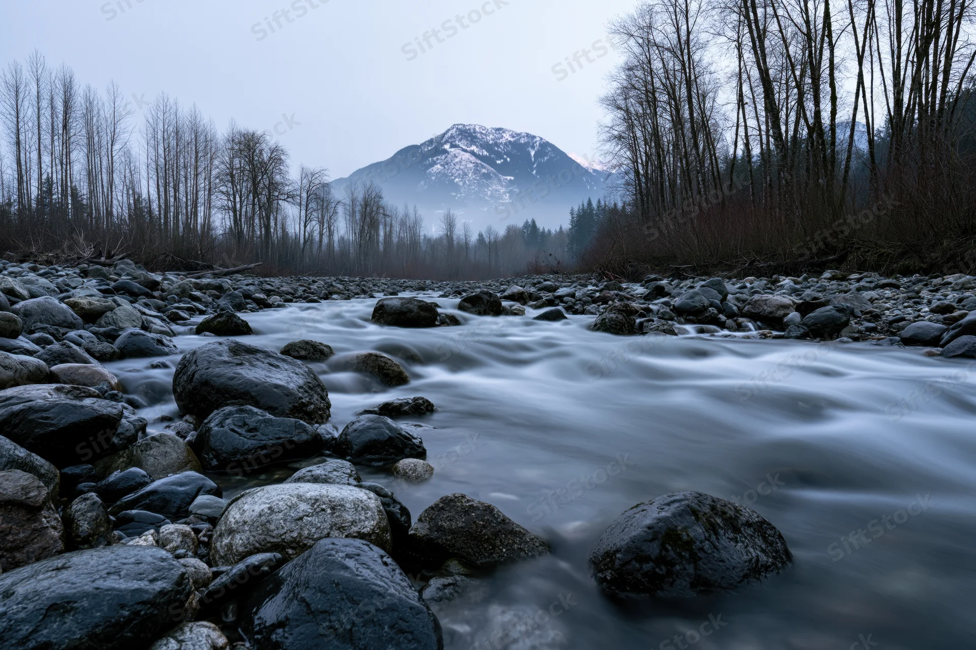 River flowing over boulders in a forested valley with snow-capped mountain in background