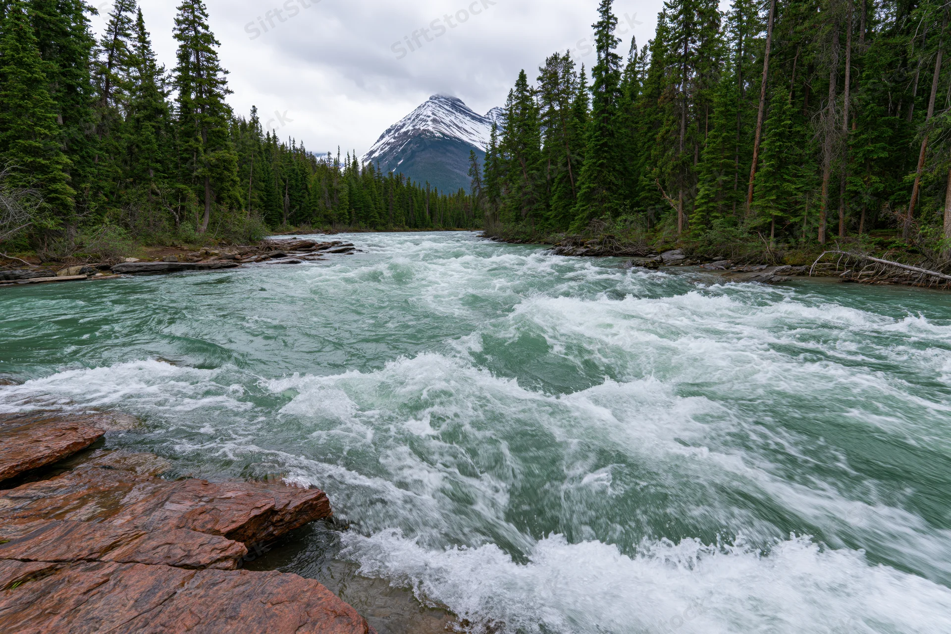 Rushing glacial river with turquoise water flowing through forested valley with snow-capped mountain in background