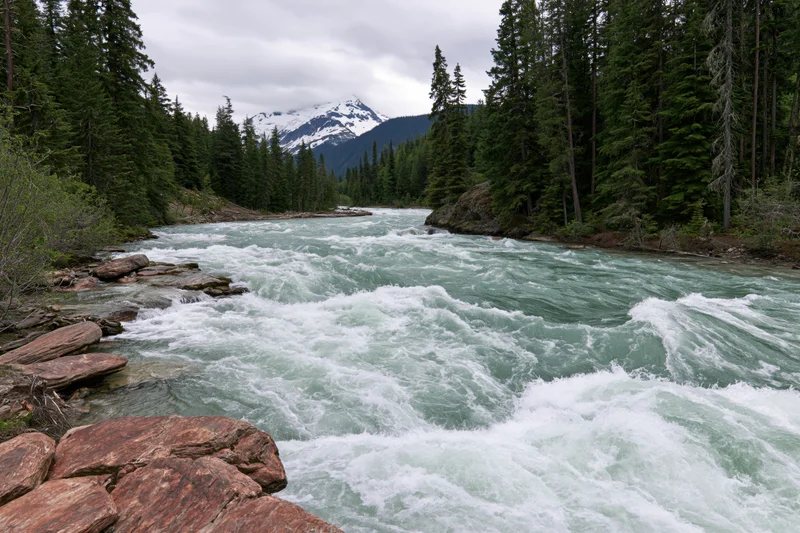 Rushing glacial river with turquoise water flowing through forested canyon with snow-capped mountains in background