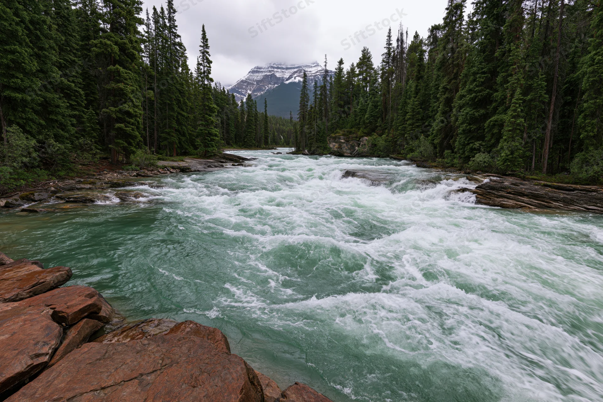 Rushing glacial river with turquoise water flowing through forested canyon with snow-capped mountain in background