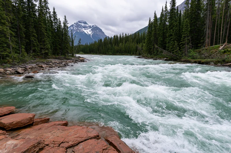 Rushing glacial river with turquoise water flowing through forested valley with snow-capped mountain in background