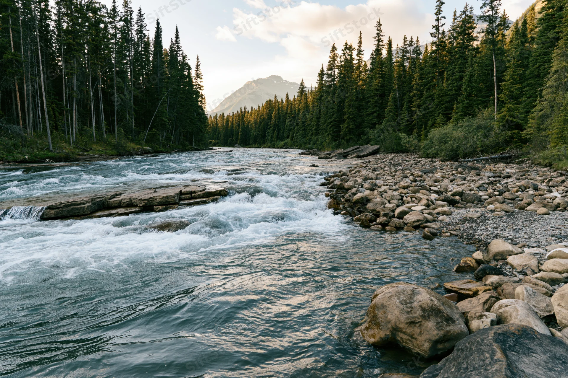 Rushing mountain river flowing over flat rock ledges surrounded by dense pine forest with distant peaks under partly cloudy sky