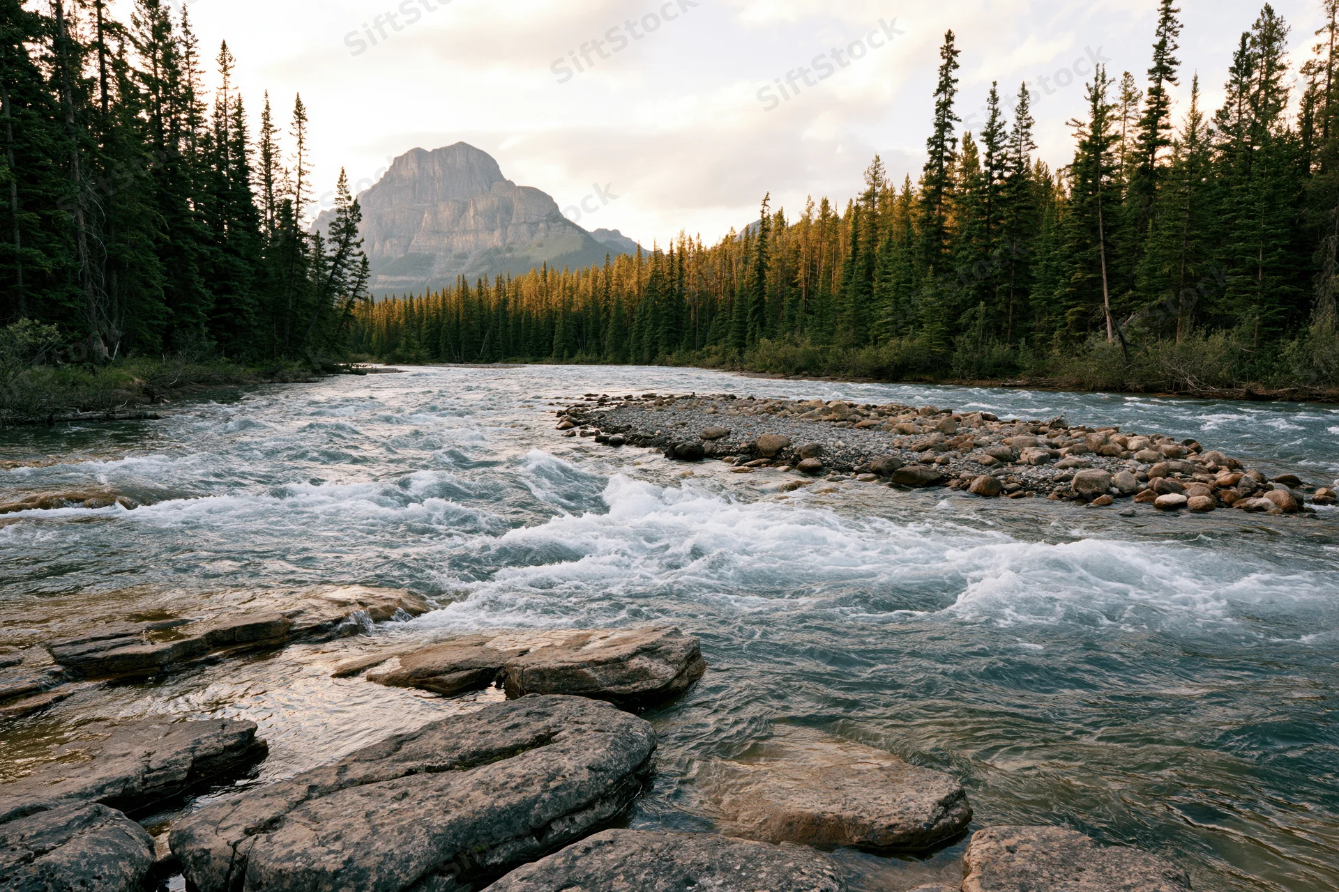 Rushing mountain river flowing over flat rock ledges surrounded by dense pine forest with mountain in background