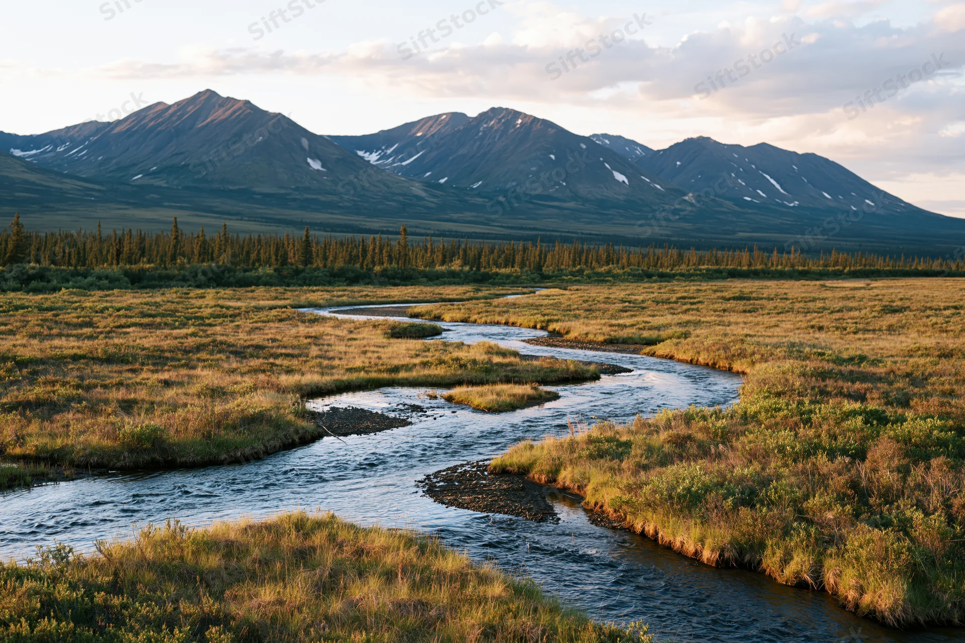 Braided river winding through open tundra shrubland with mountains in the background