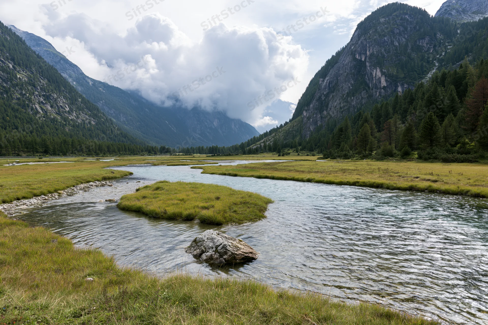 Shallow glacial river winding through a grassy valley surrounded by forested mountains under cloudy sky