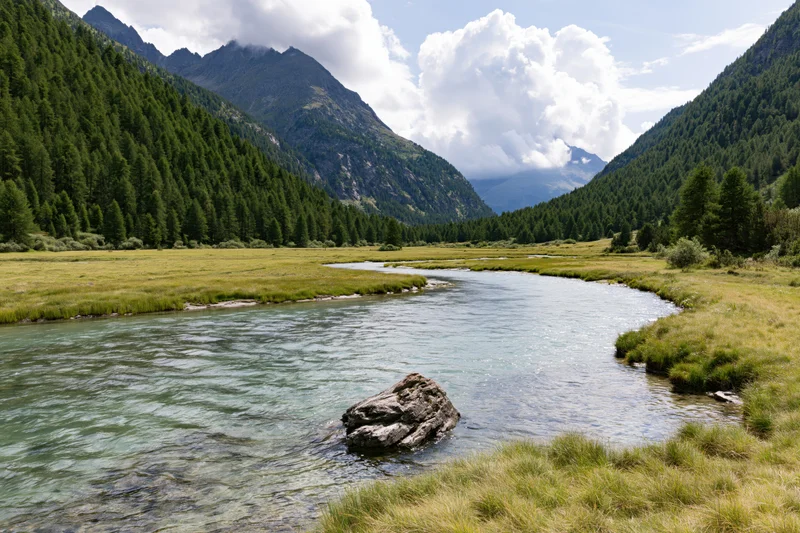 Shallow glacial river winding through a green valley with forested mountains under cloudy sky