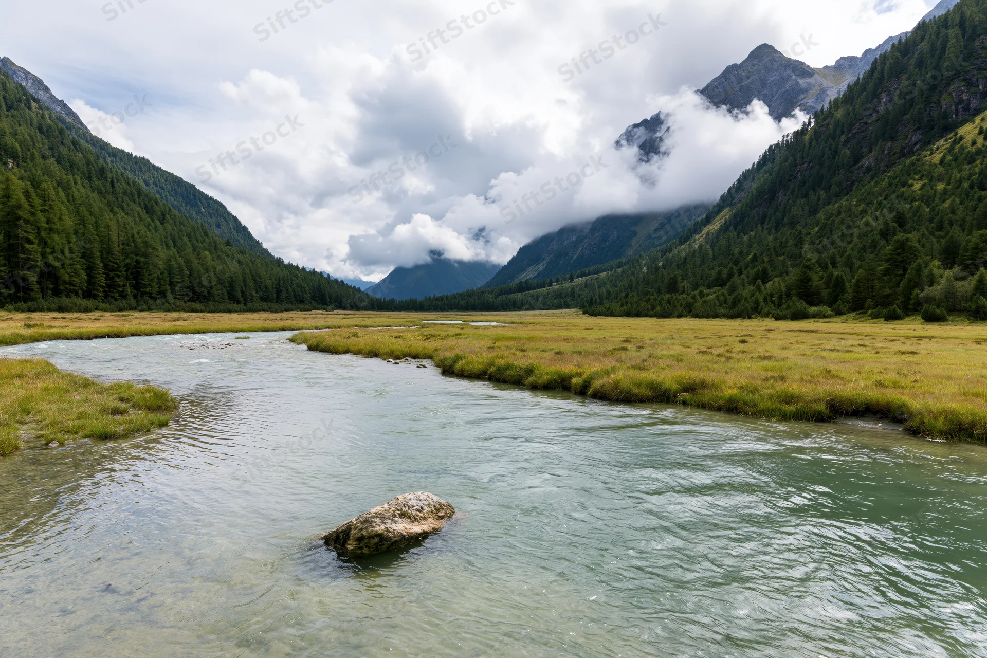 Shallow glacial river winding through a green valley surrounded by forested mountains under cloudy sky