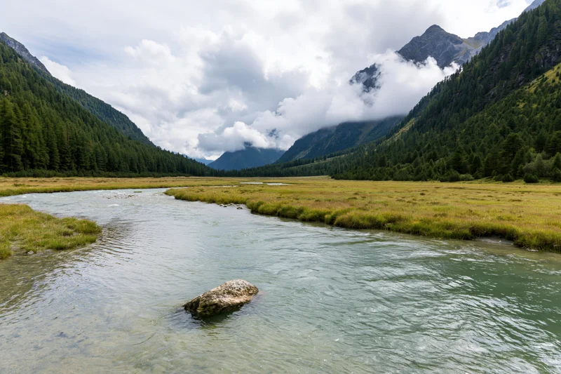 Shallow glacial river winding through a green valley surrounded by forested mountains under cloudy sky