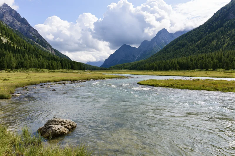 Shallow glacial river flowing through a mountain valley with exposed rock and forested slopes under a cloudy sky