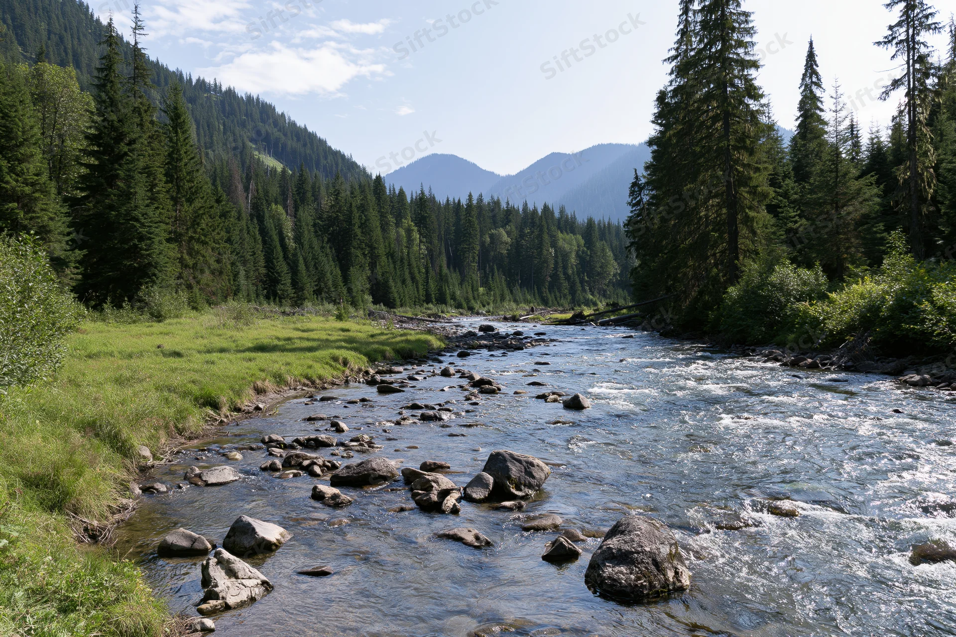 Shallow mountain river flowing over scattered rocks through dense forest valley