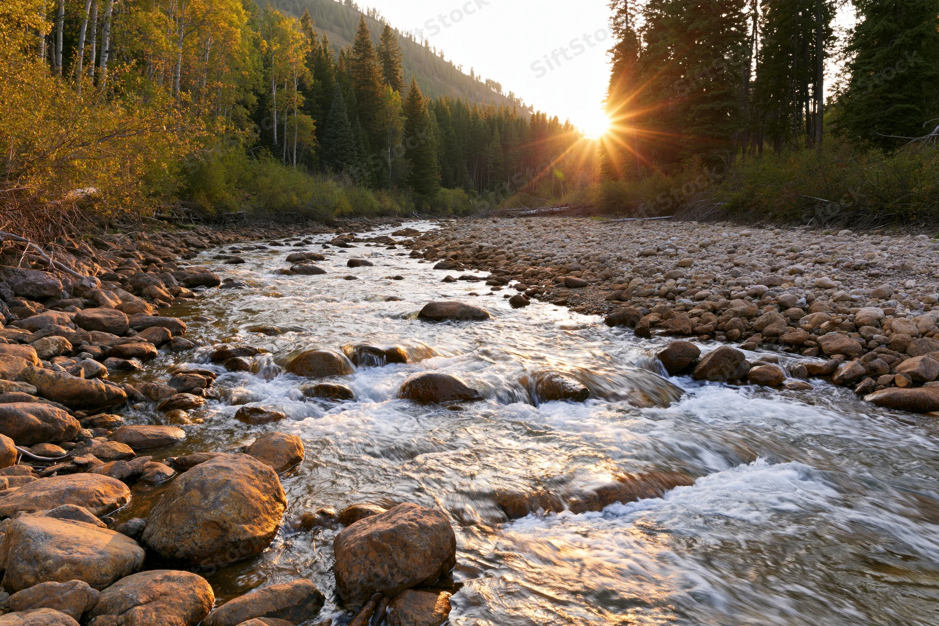 Shallow mountain river flowing over rounded rocks and boulders through forested valley at sunset