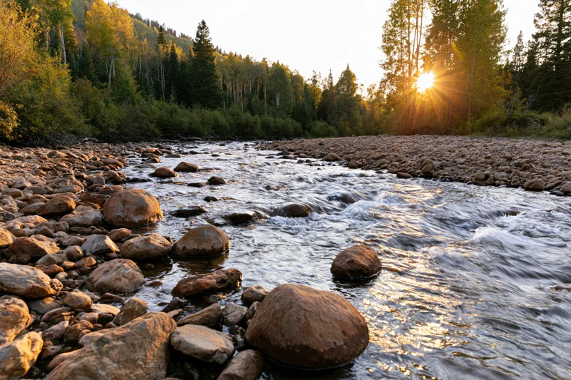 Shallow mountain river flowing over rounded rocks and boulders through forested valley at sunset