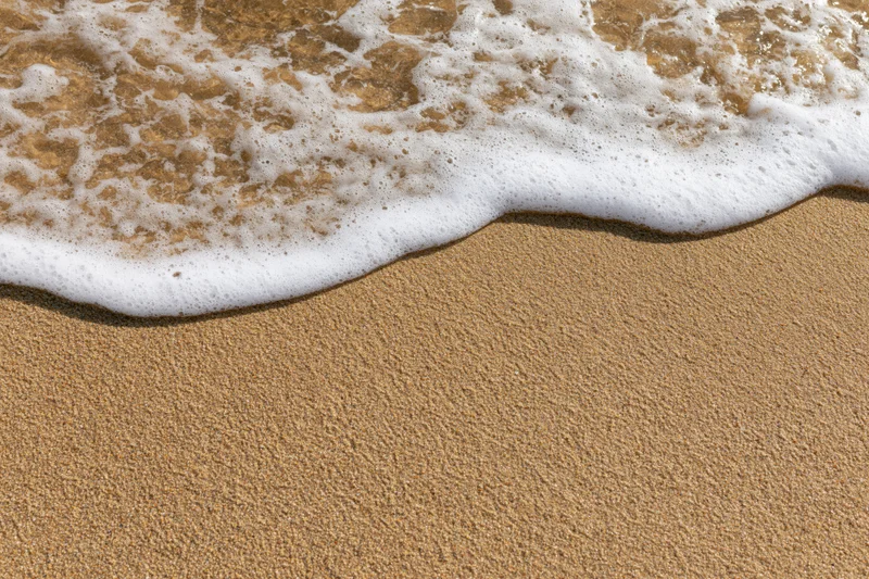 Shallow ocean wave washing over wet beach sand with white foam at shoreline