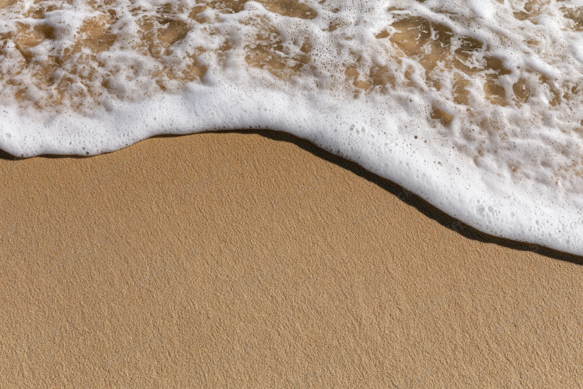 Shallow ocean wave washing over wet beach sand with white foam at shoreline