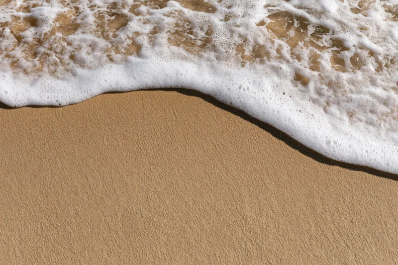 Shallow ocean wave washing over wet beach sand with white foam at shoreline