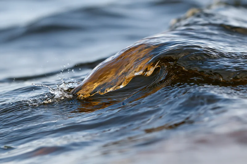 Small breaking wave curling at close range on ocean surface